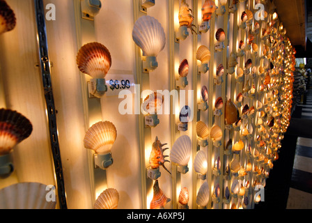 Weltweit größte Shell Factory eine beliebte Touristenattraktion in North Fort FT Myers Florida FL Stockfoto