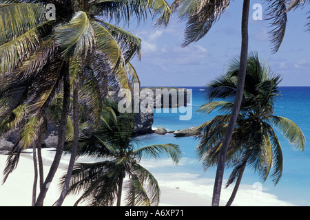 Karibik, Barbados, St. Joseph Pfarrkirche Blick auf die Felsformationen am Bathsheba Stockfoto