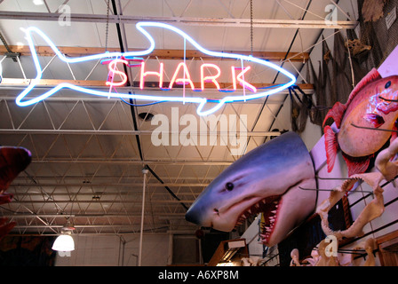 Hai Neon Schild am weltweit größten Shell Factory eine beliebte Touristenattraktion in North Fort FT Myers Florida FL Stockfoto