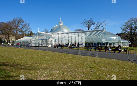 Neu renovierte Kibble Palace in Schottland Glasgow Botanic Gardens Stockfoto