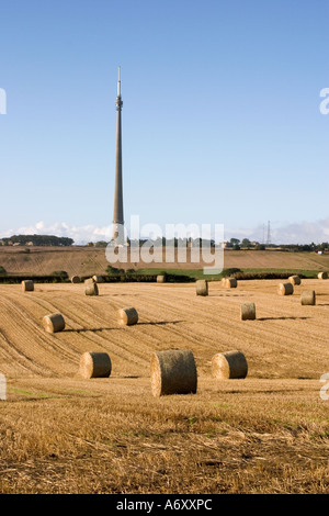 Blick auf Fernsehturm Emley Moor über Felder mit Heu Ballen späten Nachmittagssonne Stockfoto