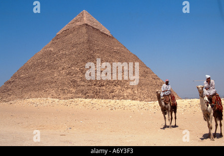 Araber Kamele vor der Pyramide des Chephren in Gizeh, Reiten in der Nähe von Kairo, Ägypten Stockfoto