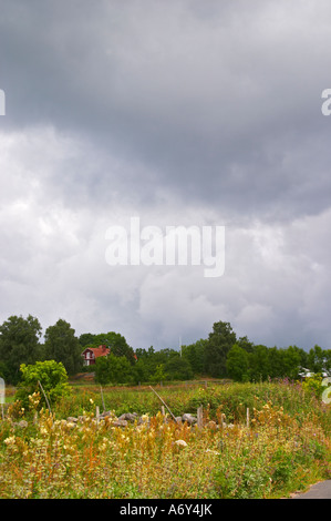 Fading Sommerblumen entlang einer Landstraße, ein Feld und eine rote Landhaus auf einem Hügel. Smaland Region. Schweden, Europa. Stockfoto