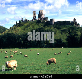 Corfe Castle Purbeck Hills Wareham Dorset England. Stockfoto