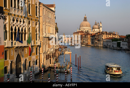 Die Kathedrale Santa Maria della Salute und den Grand Canal angesehen von der Academia Brücke in Venedig Italien Stockfoto