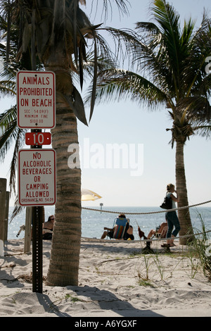 unglaubliche Aussicht Strand mühsam Küste Palm Baum Sand unendlich endlos Wasser Straße große Wasser Amerika Amerika Strand Strände Stockfoto