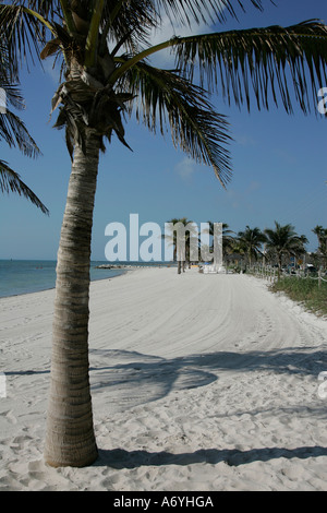 Florida Keys unglaubliche Aussicht unendlich endlos Wasser Straße große Wasser Strand Meer Amerika Amerika Strand Strände Küste Stockfoto