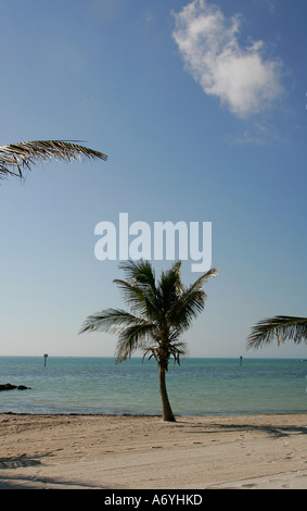 Florida Keys unglaubliche Aussicht unendlich endlos Wasser Straße große Wasser Strand Meer Amerika Amerika Strand Strände Küste Stockfoto