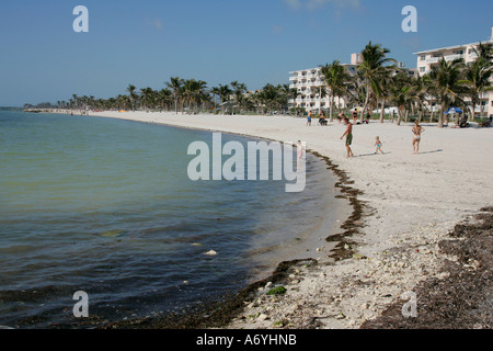 unglaubliche Aussicht Strand mühsam Küste Palm Baum Sand unendlich endlos Wasser Straße große Wasser Amerika Amerika Strand Strände Stockfoto