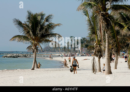 unglaubliche Aussicht Strand mühsam Küste Palm Baum Sand unendlich endlos Wasser Straße große Wasser Amerika Amerika Strand Strände Stockfoto