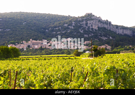 Château de Lascaux, Vacquieres Dorf. PIC St. Loup. Languedoc. Das Dorf Corconne. Les Contreforts des Cevennen. Tourtourelle Bereich. Frankreich. Europa. Weingut. Stockfoto