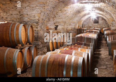 Domaine Cazeneuve in Lauret. PIC St. Loup. Languedoc. Fasskeller. Frankreich. Europa. Alten Gewölbekeller steinernen. Stockfoto