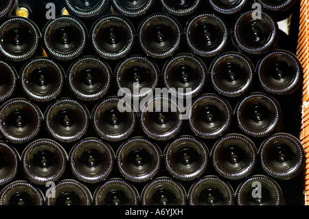 Domaine Cazeneuve in Lauret. PIC St. Loup. Languedoc. Flasche Keller. Frankreich. Europa. Flasche. Kästen mit Flaschen. Stockfoto