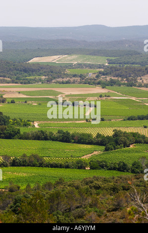 Domaine Cazeneuve in Lauret. PIC St. Loup. Languedoc. Frankreich. Europa. Weingut. Berge im Hintergrund. Stockfoto