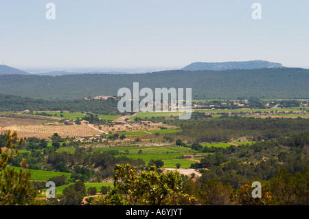 Domaine Cazeneuve in Lauret. PIC St. Loup. Languedoc. Frankreich. Europa. Weingut. Berge im Hintergrund. Stockfoto