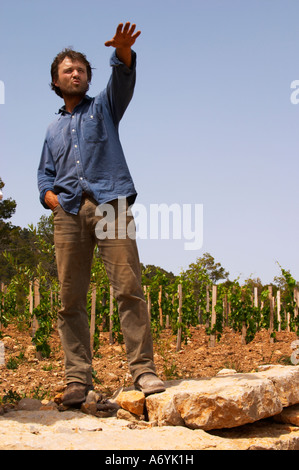Christophe Peyrus Domaine Clos Marie. PIC St. Loup. Languedoc. Carignan Traube Rebsorte. Besitzer-Winzer. Frankreich. Europa. Stockfoto