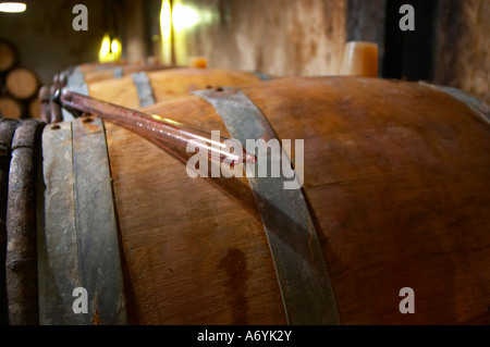 Domaine Clos Marie. PIC St. Loup. Languedoc. Fasskeller. Zeichnen eine Probe mit einer Pipette. Frankreich. Europa. Stockfoto