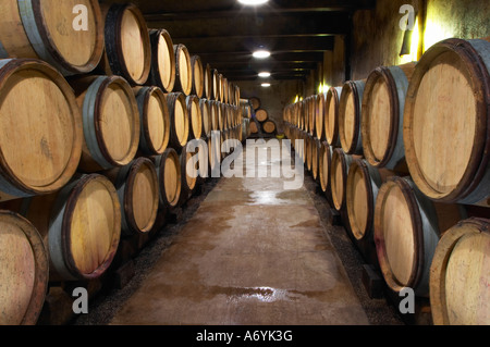 Domaine Clos Marie. PIC St. Loup. Languedoc. Fasskeller. Frankreich. Europa. Stockfoto