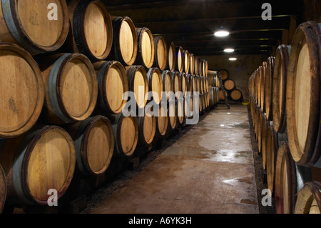 Domaine Clos Marie. PIC St. Loup. Languedoc. Fasskeller. Frankreich. Europa. Stockfoto