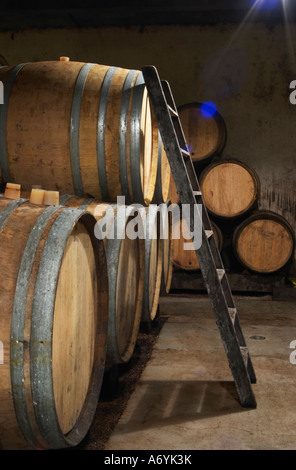 Domaine Clos Marie. PIC St. Loup. Languedoc. Fasskeller. Frankreich. Europa. Stockfoto