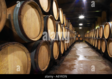 Domaine Clos Marie. PIC St. Loup. Languedoc. Fasskeller. Frankreich. Europa. Stockfoto