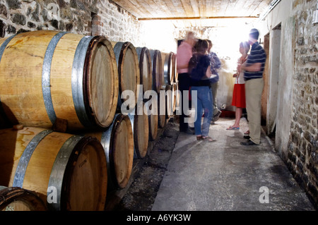 Domaine Clos Marie. PIC St. Loup. Languedoc. Fasskeller. Frankreich. Europa. Stockfoto