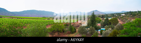 Blick über die Weinberge in der Nähe von St Jean De La Blaquiere aus dem Hotel Le Sanglier in Saint-Saturnin / Montpeyroux Provinz Languedoc. Frankreich. Europa. Weingut. Stockfoto