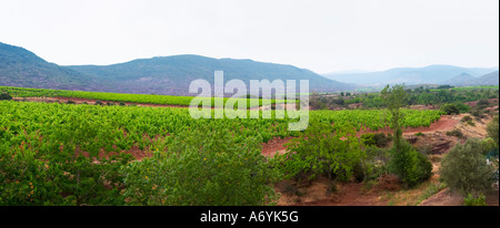 Blick über die Weinberge in der Nähe von St Jean De La Blaquiere aus dem Hotel Le Sanglier in Saint-Saturnin / Montpeyroux Provinz Languedoc. Frankreich. Europa. Weingut. Stockfoto