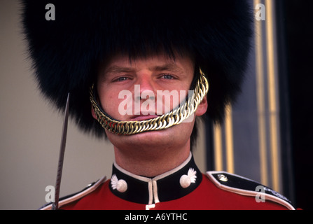 Ändern die Wachablösung am Buckingham Palace London Vereinigtes Königreich Stockfoto