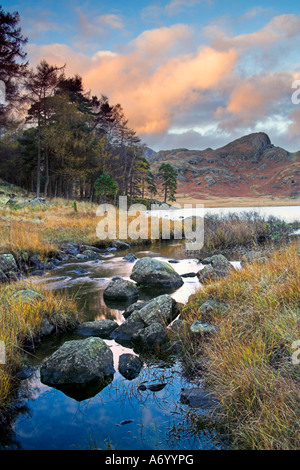 Blick über Blea Tarn in Richtung Seite Hecht spät an einem schönen Wintertag der s Cumbria, England Stockfoto