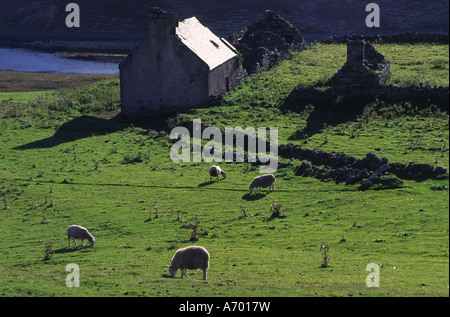 Melvich, Schottland Highland Stockfoto