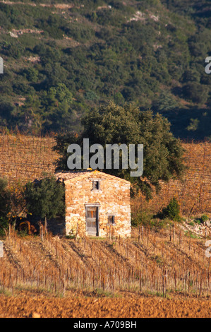 Schloss Villerambert-Julien in der Nähe von Caunes-Minervois. Minervois. Languedoc. Ein Geräteschuppen Hütte im Weinberg. Frankreich. Europa. Weingut. Stockfoto