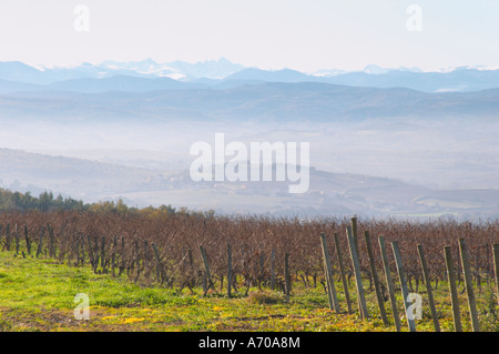 Blick über den Schnee bedeckt Pyrenäen. Schloss Rives-Lehrschule. Limoux. Languedoc. Pyrenäen im Dunst am Horizont unter einem blauen Himmel und eine brillante Wintersonne. Frankreich. Europa. Weingut. Berge im Hintergrund. Stockfoto