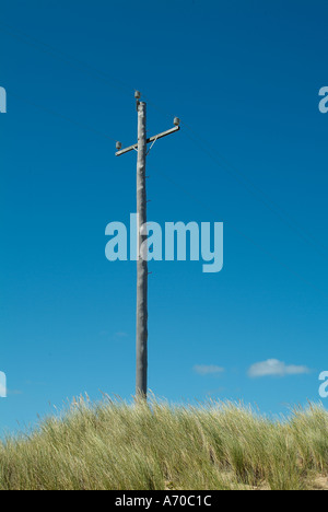 Ein Telegrafenmast und Sanddüne, die aus einem niedrigen Winkel gegen strahlend blauem Himmel geschossen Stockfoto