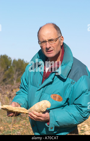 Bernard Bellahsen. Domaine Fontedicto, Caux. Pezenas Region. Languedoc. Versteinerte Austern im kalkhaltigen Boden. Terroir-Boden. Besitzer-Winzer. Frankreich. Europa. Kalkstein Kalkstein. Stockfoto