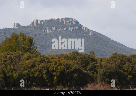 Mont St Baudille Berggipfel mit einer Kapelle auf der Oberseite es ist sagte, dass vor langer Zeit, den einige Jungfrauen vergewaltigt wurden. Domaine Alain Chabanon, zuvor Font Caude, im Dorf Lagamas. Montpeyroux. Languedoc. Frankreich. Europa. Berge im Hintergrund. Stockfoto