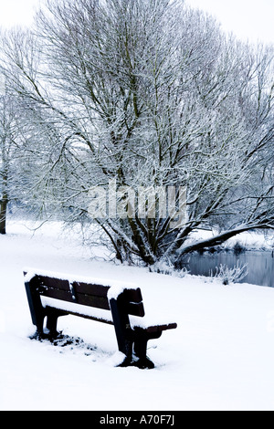 Schneebedeckte Bäume und Sitzbank auf Coate Water Country Park getroffen, Stockfoto