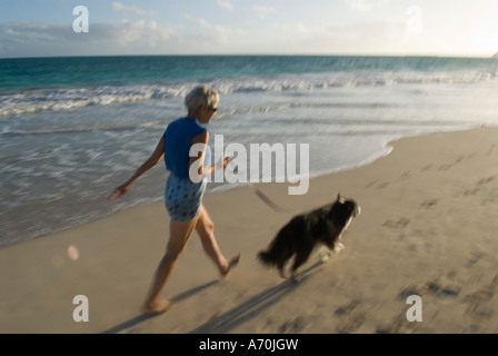 Reife Frau Hund spazieren gehen, am Strand, Kailua, Oahu, Hawaii Stockfoto