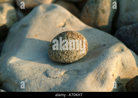 Steinen am Strand in Maasholm Ostsee Deutschland Stockfoto