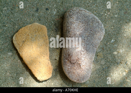 Steinen am Strand in Maasholm Ostsee Deutschland Stockfoto