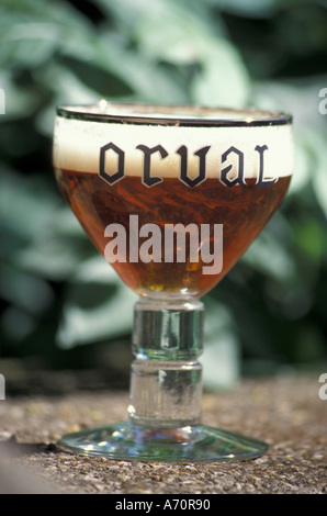 Europa, Belgien, Ardennen Orval Abteien berühmt Trappist Bier Stockfoto