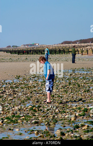 Junge, die auf der Suche nach Meeresleben in Rockpools am Strand von Goring-by-Sea, West Sussex, England sind Stockfoto