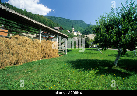 Typische Hayharp in Srednja Vas, Triglav Nationalpark Region Gorenjska, Slowenien Stockfoto