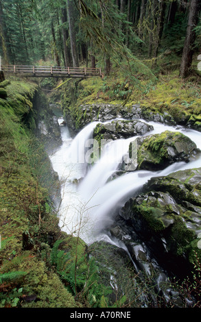 Sol Duc fällt im Sol Duc Tal des Olympic Nationalpark, Washington State, USA Stockfoto