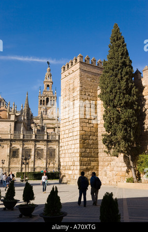 Sevilla-Sevilla Provinz Spanien Giralda Turm und Dom mit Wänden aus Real Alcazar Vordergrund Stockfoto