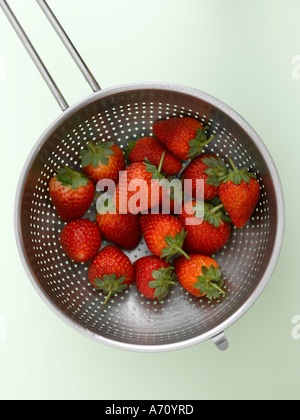Erdbeeren in Sieb auf hellen grünen Hintergrund - hohe Ende Hasselblad 61mb digitales Bild Stockfoto