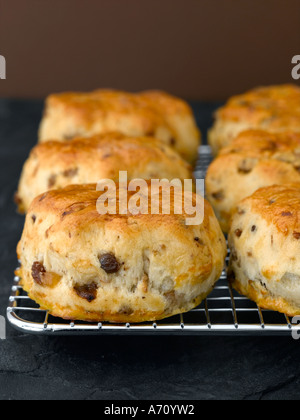 Scones auf Kuchengitter - hohe Ende Hasselblad 61mb digitales Bild Stockfoto