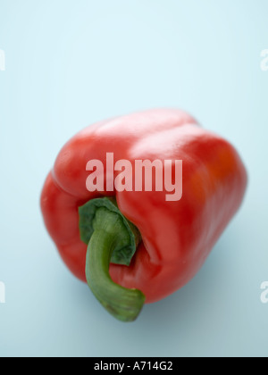 Rote Paprika auf blassen blauen Hintergrund - high-End Hasselblad 61mb digitales Bild Stockfoto
