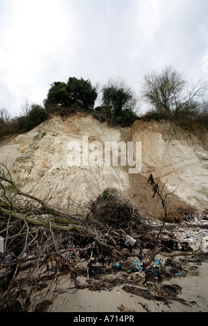 Sea Cliff Erosion Südstrand Studland Dorset-England Stockfoto