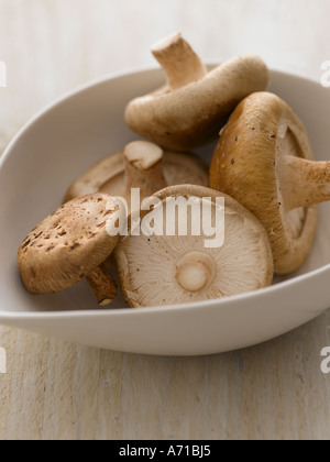 Shitake Pilze in weiße Schüssel auf hellem Holz - high-End Hasselblad 61mb digitales Bild Stockfoto